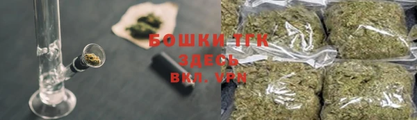 дмт Лабытнанги