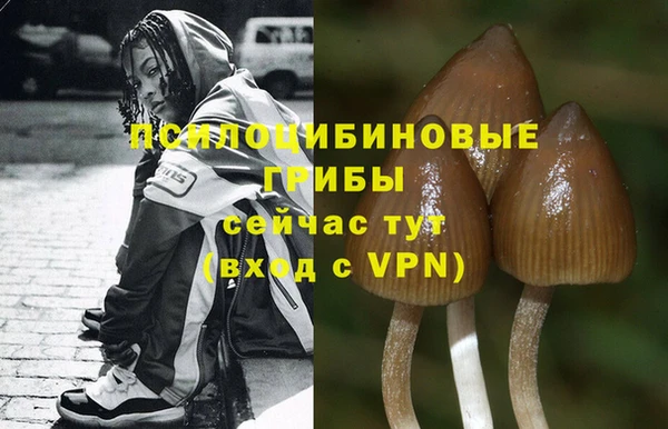 МДМА Лагань