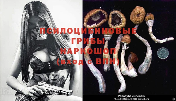 экстази Ладушкин