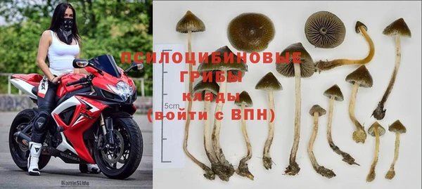 дмт Лабытнанги