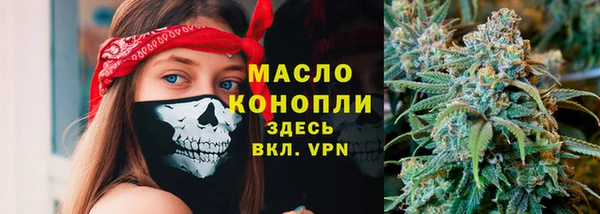 дмт Лабытнанги