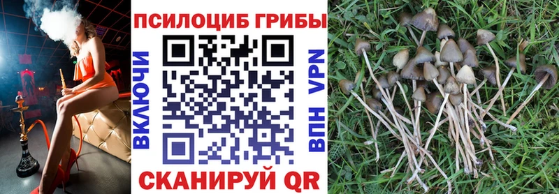 наркотики  Сельцо  Псилоцибиновые грибы Magic Shrooms 